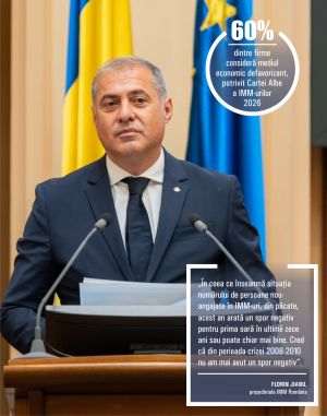 IMM România: Mediul de afaceri are nevoie urgentă de un guvern stabil